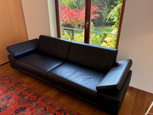 Ledersofa rolf benz freistil - rolf,